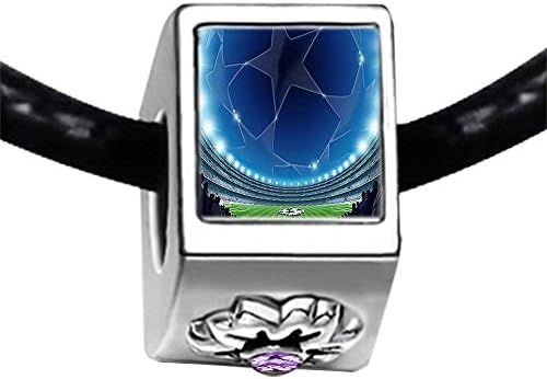 UEFA Euro 2012 Stadium in Kiev Ukraine Light Amethyst Crystal June Birthstone Flower Charm Bracelets