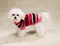 MEDIUM - Mixed Yarn Stripe Dog Sweater