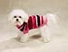 SMALL - Mixed Yarn Stripe Dog Sweater