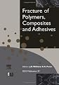 Fracture of Polymers, Composites and Adhesives