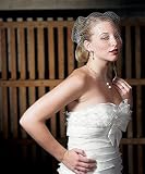 Bird Cage Style Veil - White