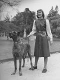 Model Wearing Belted and Top Stitched Leather Dress and Pageboy Hairstyle While Walking a Great Dane Photographic Poster Print by Nina Leen, 12x16