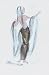 Designs for Cleopatra III by Oliver Messel. Size 10.73 inches width by 18.32 inches height. High Quality Art Poster Print