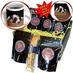 Dogs English Springer Spaniel - English Springer Spaniel - Coffee Gift Baskets - Coffee... by 3dRose LLC