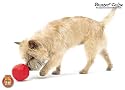 Buster FUN Food Cube- Active Dog Toy Treat Dispenser
