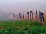 IMAGE OF Fence Across Foggy Meadow, Cades Cove, Great Smoky Mountains National Park, Tennessee, USA Premium Photographic Poster Print by Adam Jones, 30x40