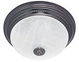 Hunter Fan Ashbury 81003 Bathroom Fan, Imperial Bronze with Beaded Detail and Swirled Marble Glass