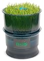 Tribest Automatic Sprouter