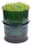 Freshlife Automatic Sprouter - Grow Fresh Healthy Salad Sprouts in Your Kitchen All Year Long. Sprout Alfalfa, Buckwheat, Clover, Green Lentil, Red Lentil, Radish, Brocolli, Mung Bean, & More - Fresh Life.