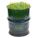 Tribest Automatic Sprouter