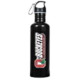 Ohio State Buckeyes Silver Stainless Steel Water Bottle