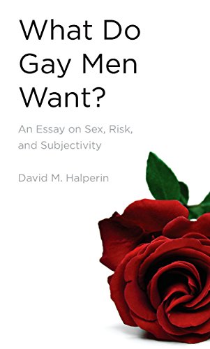 What Do Gay Men Want?: An Essay on Sex, Risk, and Subjectivity