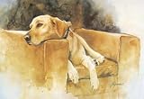 Dog Tired (Yellow Lab) Art Print Poster By Barbara Shipman, 22  x 16 