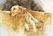 Dog Tired (Yellow Lab) Art Print Poster By Barbara Shipman, 22  x 16 