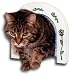 Pet Supplies : Cat Hole Pet Door