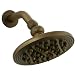 Cifial 289.870.V05 Aged Brass Thunderstorm Rain Shower Shower Head 289.870.V05