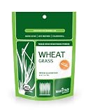 Navitas Naturals Wheatgrass Powder, 1-Ounce Pouches