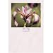 Search : Wildflowers Puzzle Post Card Set of 6