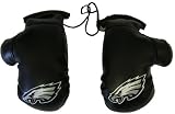 Philadelphia Eagles NFL Rearview Mirror Mini Boxing Gloves