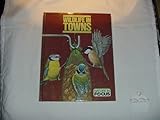 Wildlife in towns
