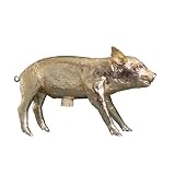 Areaware Bank in the Form of a Pig - Gold