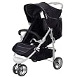 kite buggy