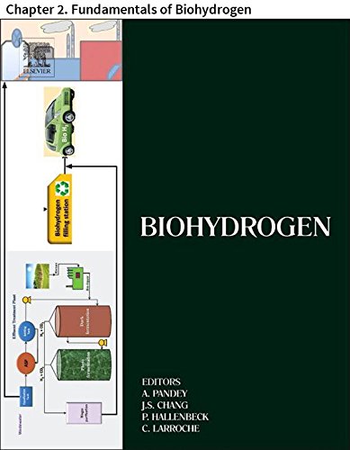 Biohydrogen: Chapter 2. Fundamentals of Biohydrogen