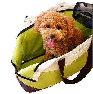 How's Your Dog 