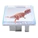 BIO-BYTES - BIO-SPHERES - T-Rex