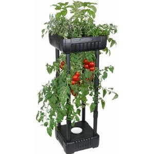 Topsy turvy tomato planter reviews garden