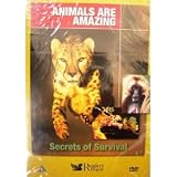 Animals are Amazing: Secrets of Survival