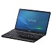 Sony Vaio EE2S1E/BQ (39,3 cm (15,5 Zoll) Notebook (AMD Phenom P820 1,8GHz, 4GB RAM, 320GB HDD, ATI Mobility Radeon HD 5145, DVD,  Win 7 HP) schwarz