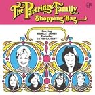 Shopping Bag by  Partridge Family 