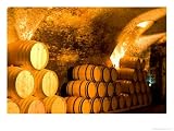 19th Century Wine Cellar, Juanico Winery, Uruguay Photographic Poster Print by Stuart Westmorland, 40x30