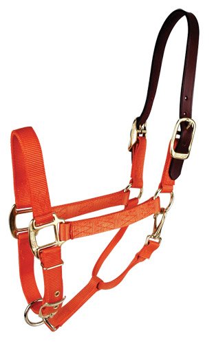 Nylon Halter - Average: Navy