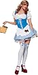 Sweet and Sexy Picnic Chick Gingham Costume Mini Dress Adult