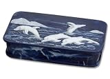Dolphin Jewelry Box Ocean Fun