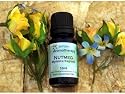 SA Nutmeg Essential Oil 10ml