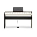 Casio PX120 Privia Digital Stage Piano
