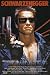 Terminator (Arnold Schwarzenegger with Gun) Movie Poster Print - 24