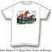 3 Horses - Horse and Rodeo Premium T-Shirt