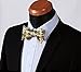 SetSense Men's Paisley Printing Self Bow Tie Set