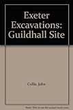 Exeter excavations - the Guildhall site