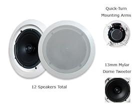 visonik speakers 12 inch