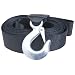 Curt Manufacturing 29007 2 In 20 Ft Nylon Winch Strap With Hook