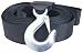 Curt Manufacturing 29007 2 In 20 Ft Nylon Winch Strap With Hook