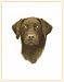 Fiddlers Elbow Chocolate Lab Blank Box Note Cards