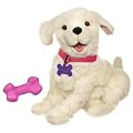 FRR COOKIE PUPPY