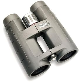 Buy Bushnell Infinity 8.5x45 Waterproof Fogproof Roof Prism Binocular now!