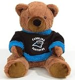 Carolina Panthers 20'' Plush Bear